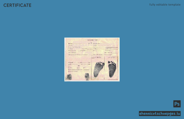 Beispielansicht der statistischen Aufzeichnungen zur Geburtsurkunde